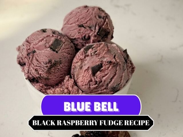 Blue Bell Black Raspberry Fudge Ice Cream